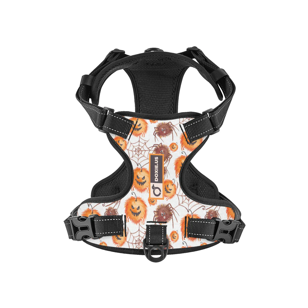 Chloe -  No-Pull Dachshund Dog Harness - Image 7