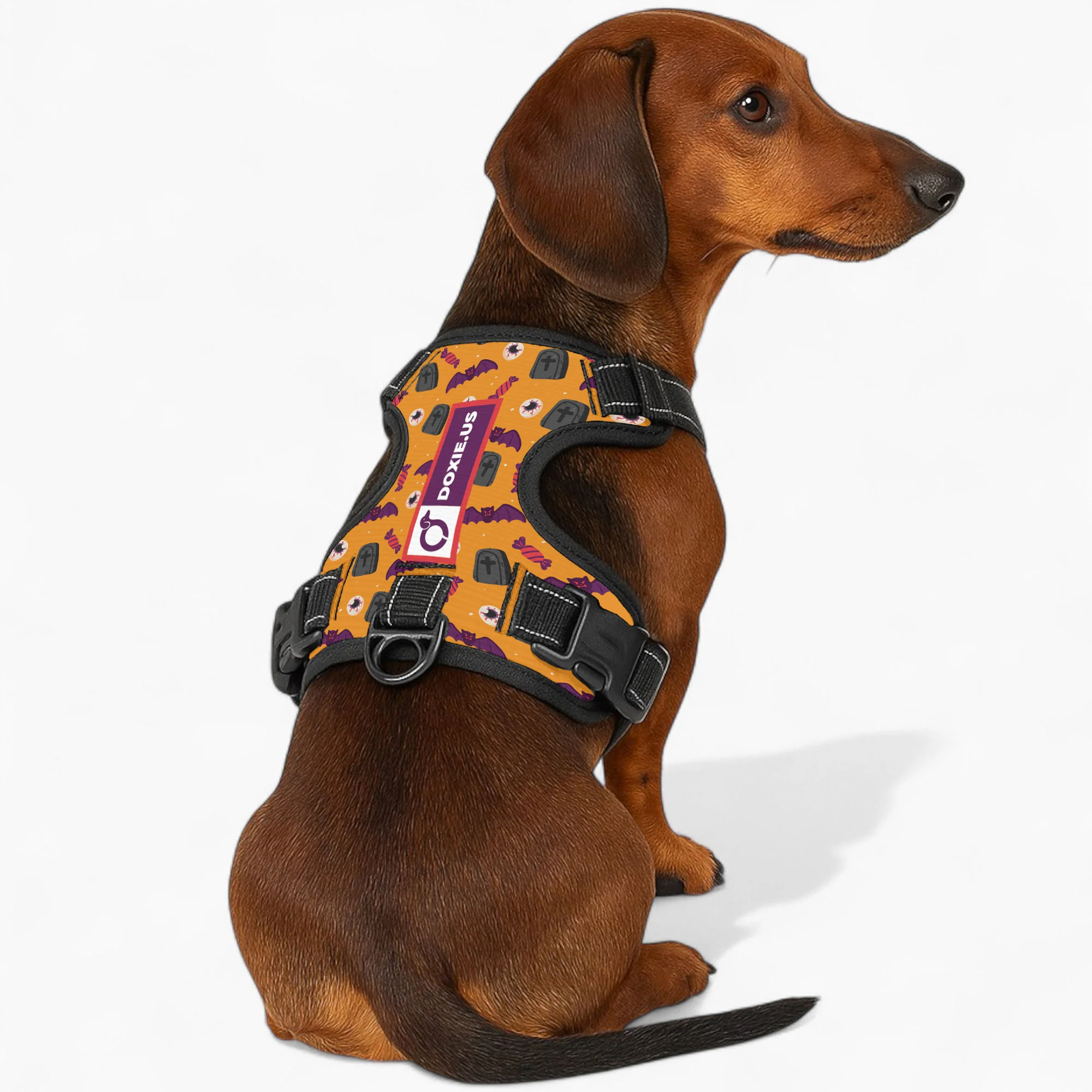 Maggie -  No-Pull Dachshund Dog Harness - Image 3