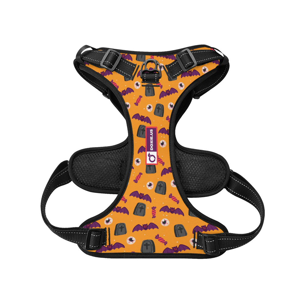 Maggie -  No-Pull Dachshund Dog Harness - Image 6