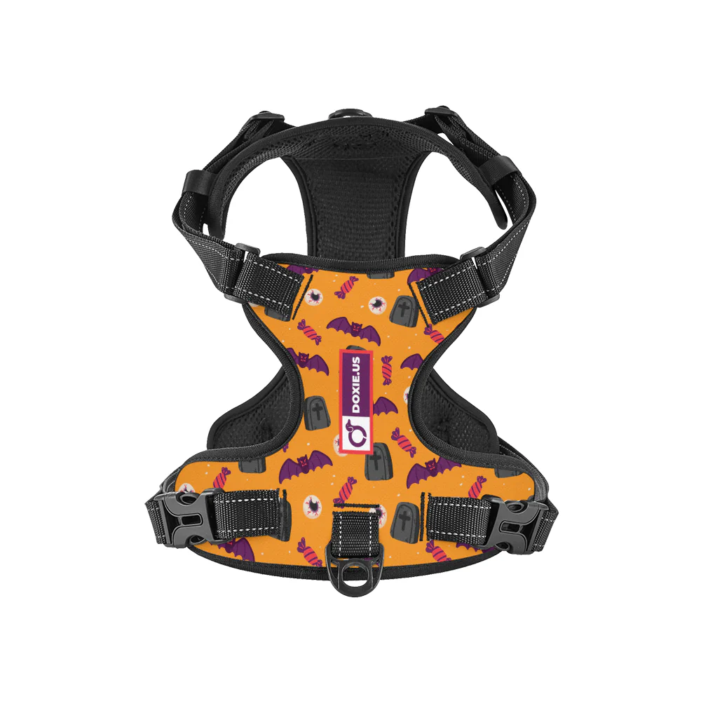 Maggie -  No-Pull Dachshund Dog Harness - Image 8