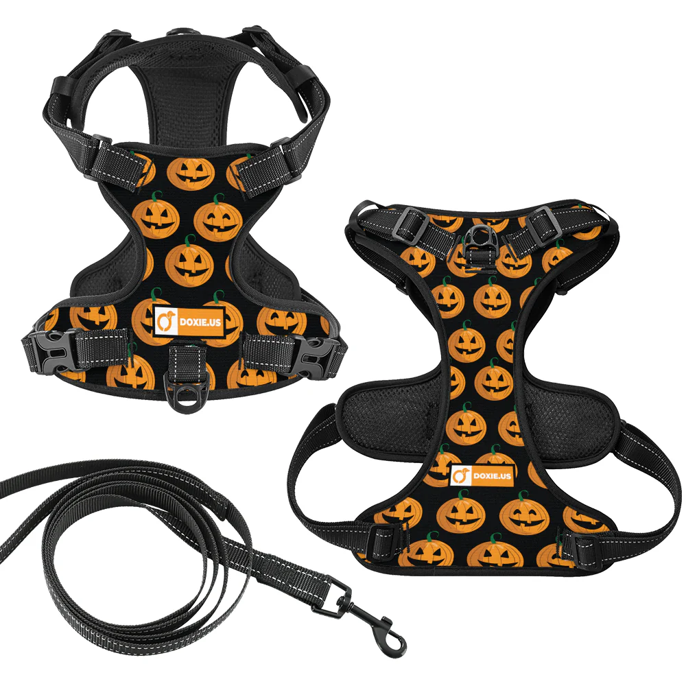 Stella -  No-Pull Dachshund Dog Harness - Image 7