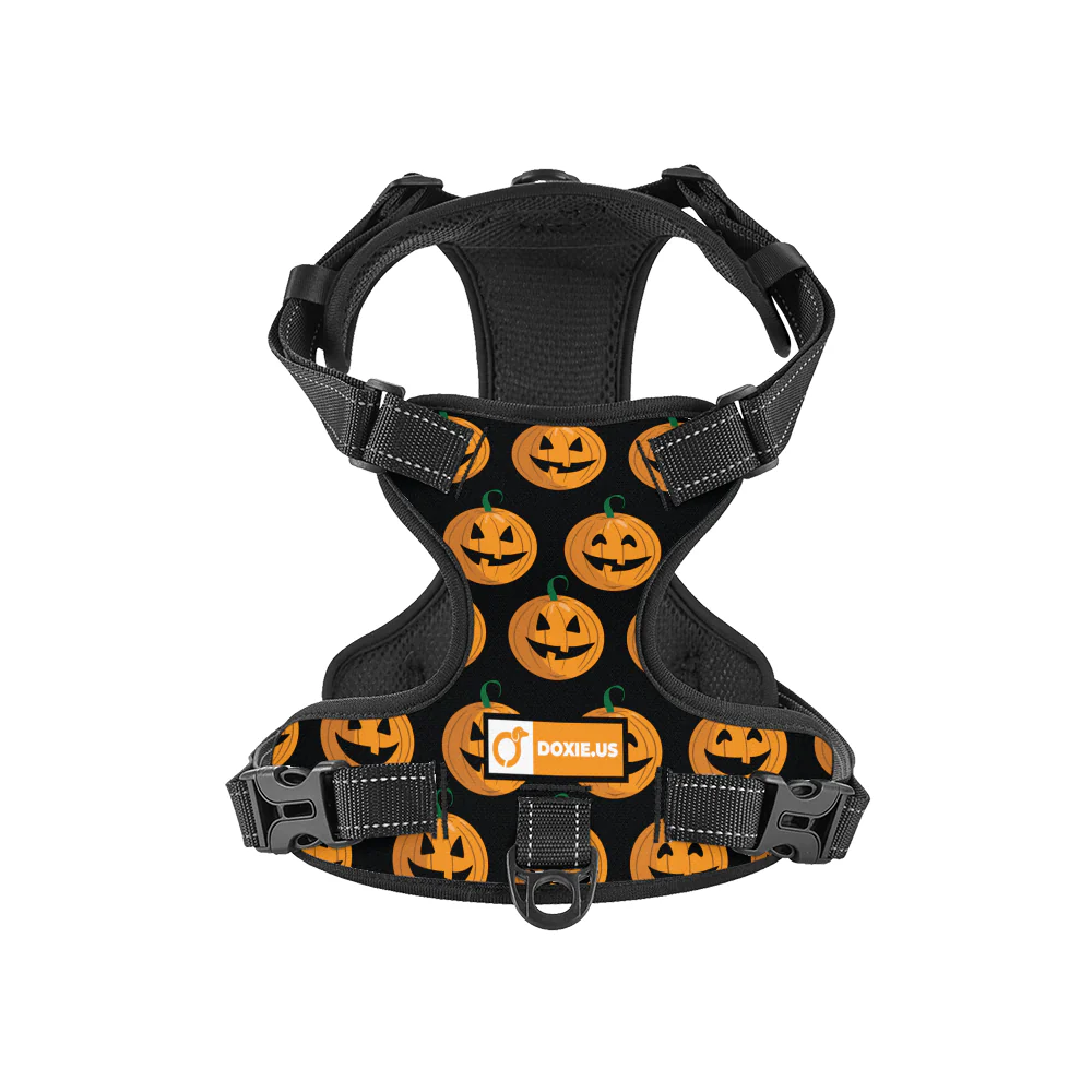 Stella -  No-Pull Dachshund Dog Harness - Image 8