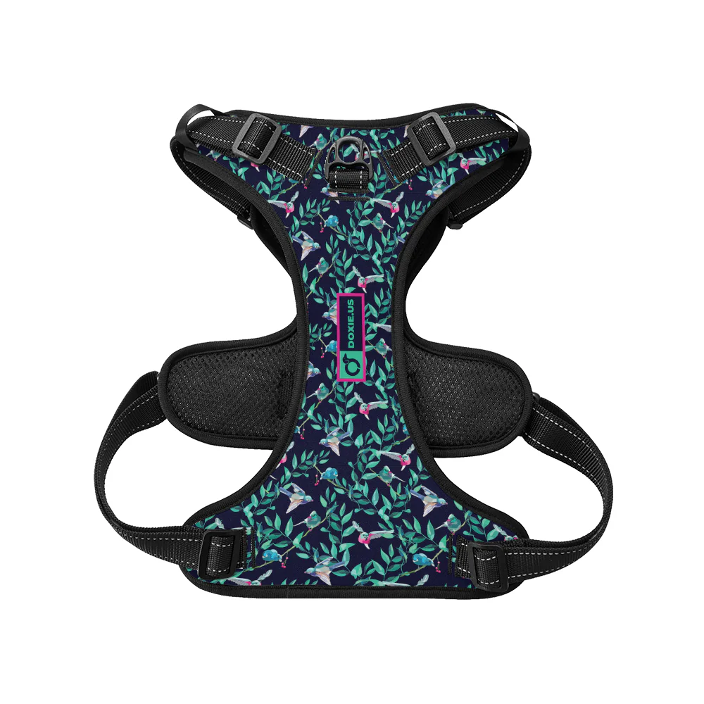 Sophie -  No-Pull Dachshund Dog Harness - Image 5