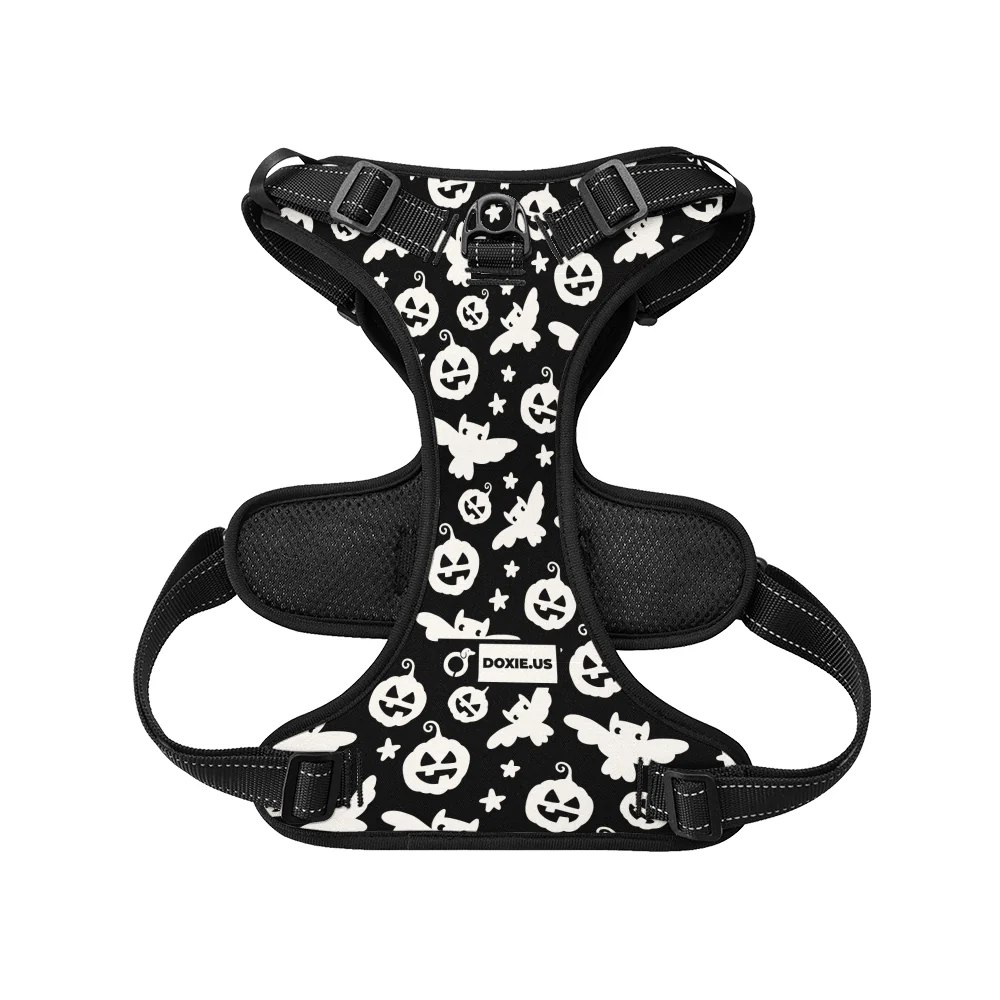 Poppy -  No-Pull Dachshund Dog Harness - Image 6