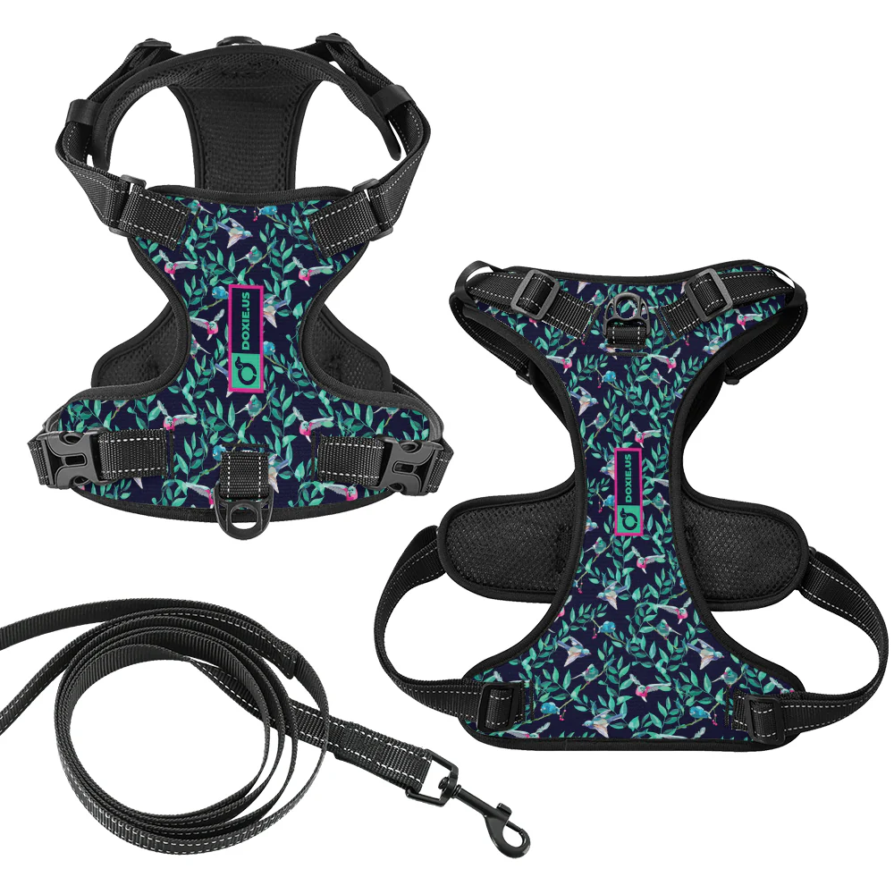 Sophie -  No-Pull Dachshund Dog Harness - Image 6