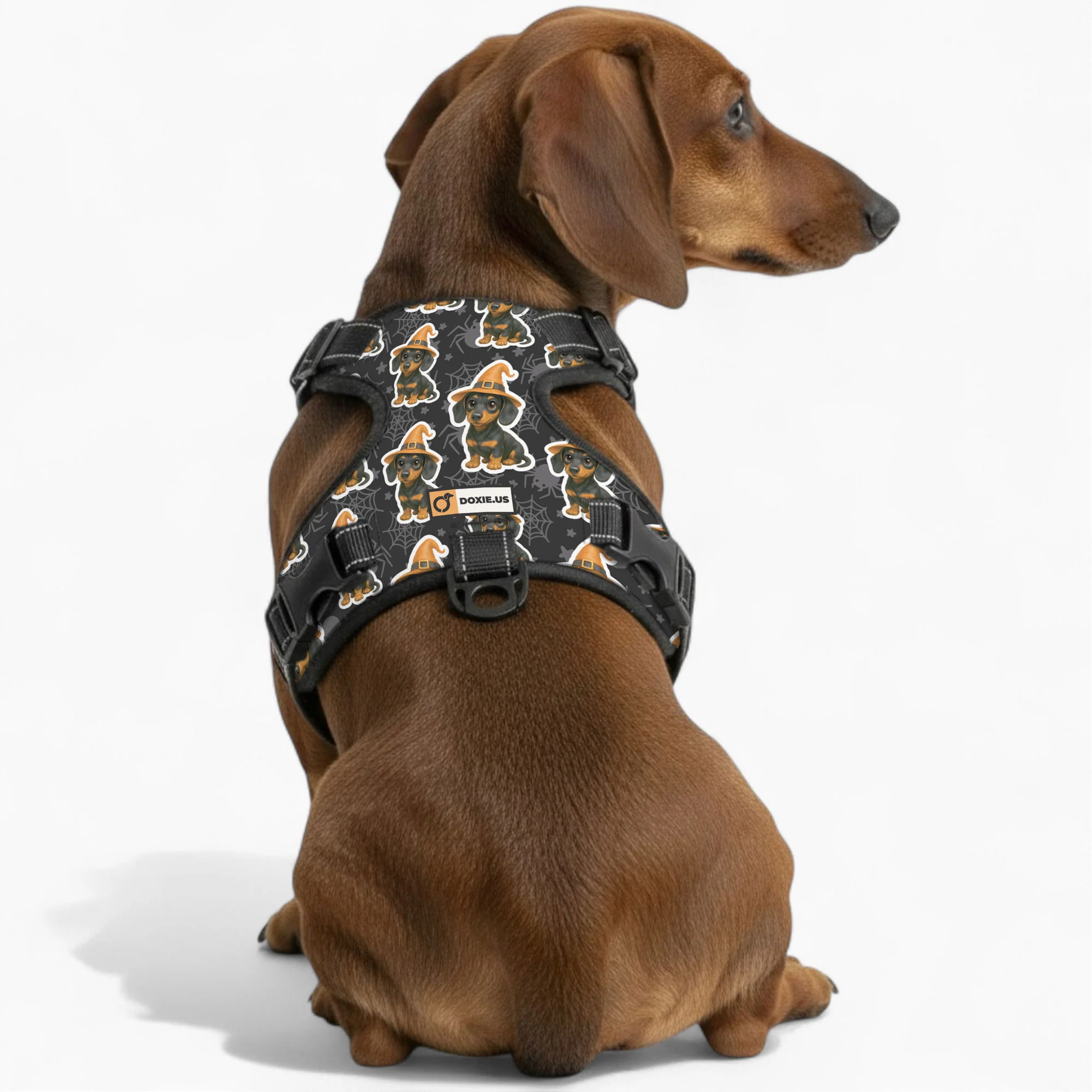 Roxy -  No-Pull Dachshund Dog Harness - Image 4