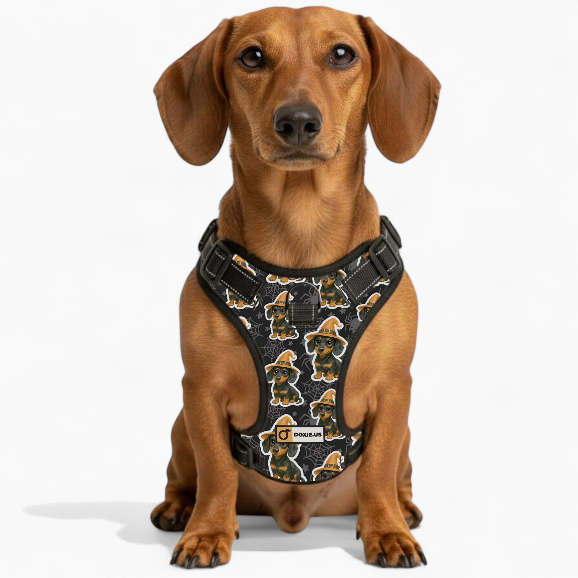 Roxy -  No-Pull Dachshund Dog Harness - Image 5
