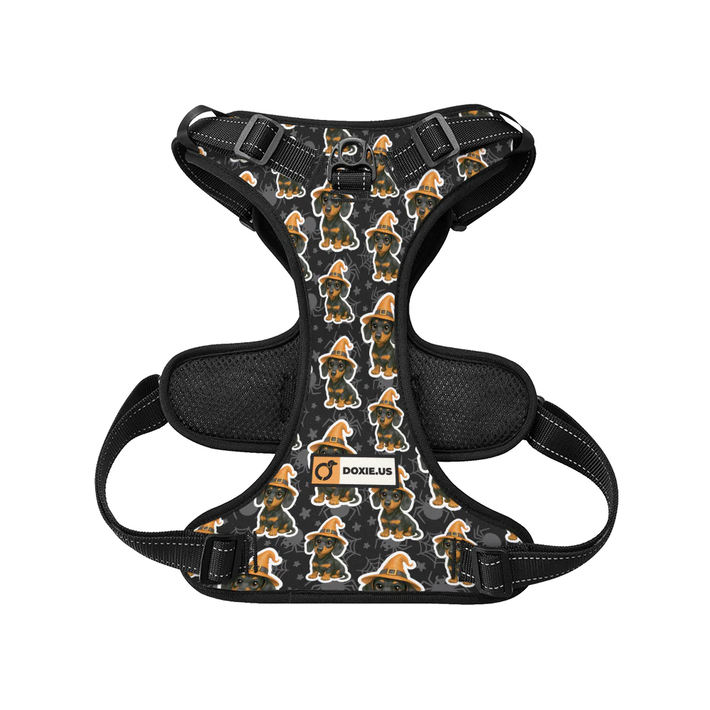 Roxy -  No-Pull Dachshund Dog Harness - Image 6