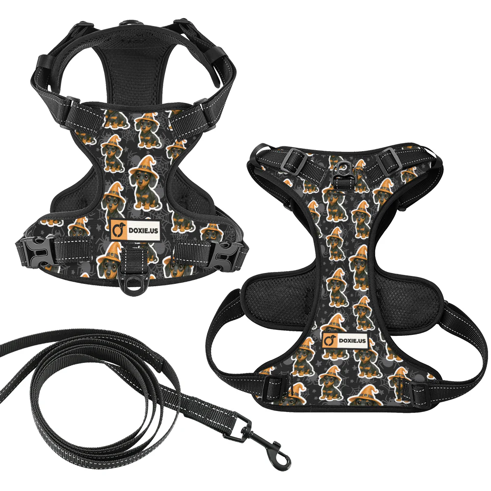 Roxy -  No-Pull Dachshund Dog Harness - Image 7