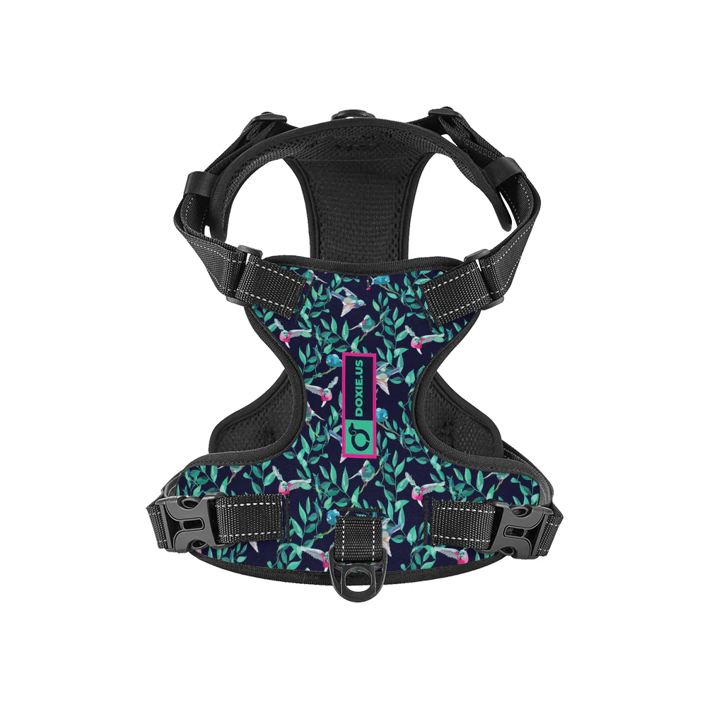 Sophie -  No-Pull Dachshund Dog Harness - Image 7