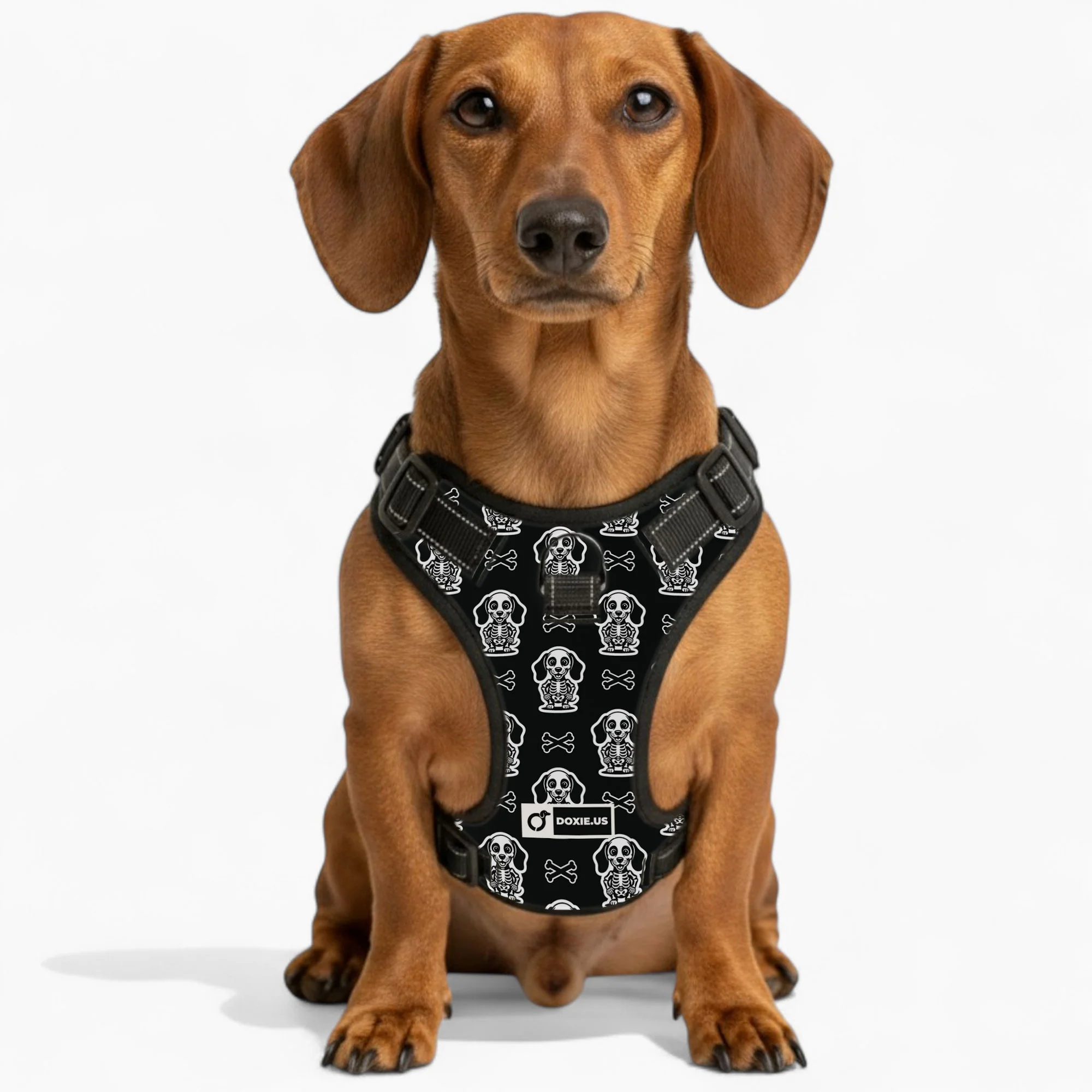 Ellie -  No-Pull Dachshund Dog Harness - Image 5