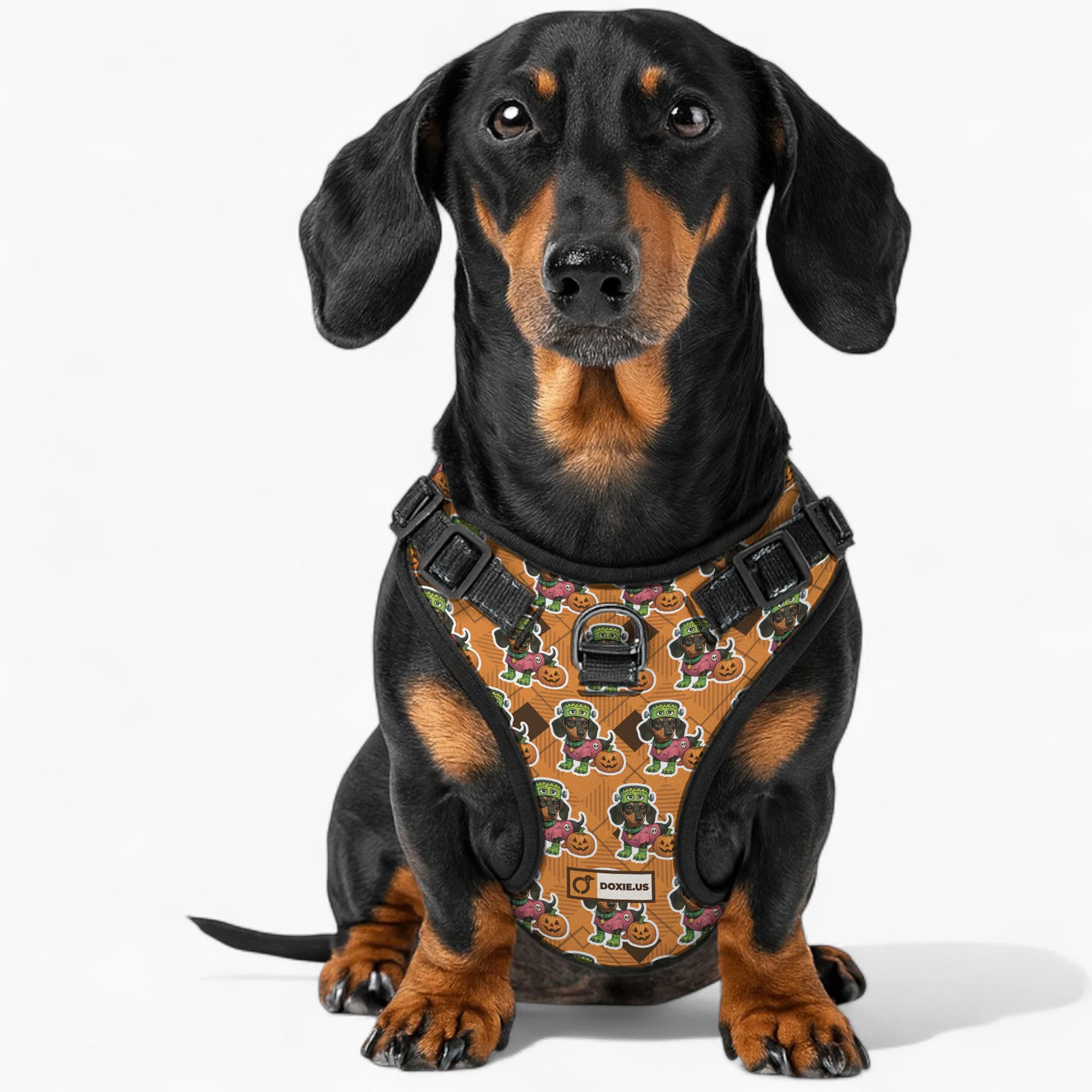 Willow -  No-Pull Dachshund Dog Harness - Image 3