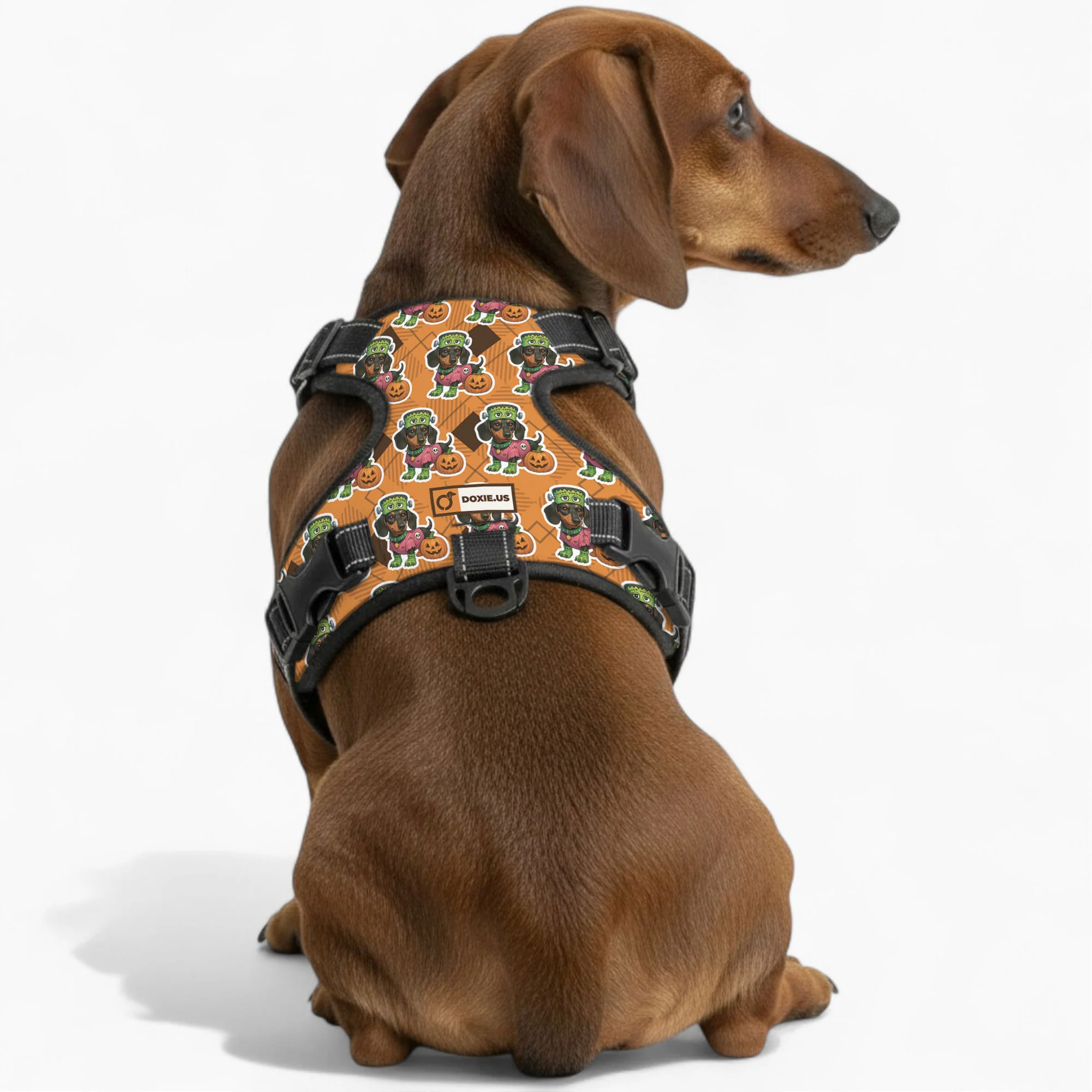 Willow -  No-Pull Dachshund Dog Harness - Image 4