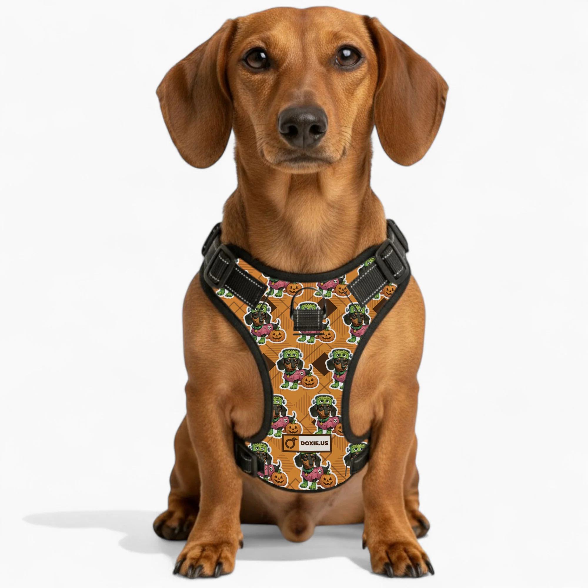 Willow -  No-Pull Dachshund Dog Harness - Image 5