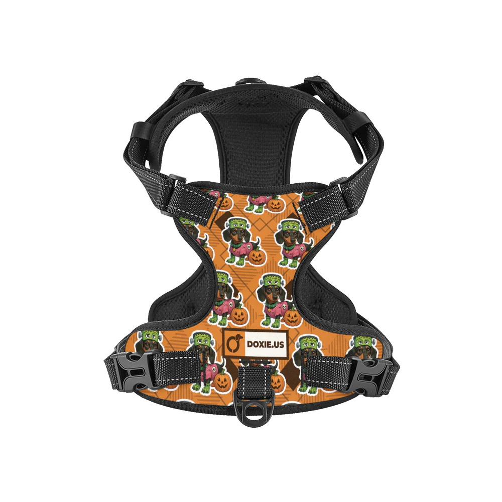 Willow -  No-Pull Dachshund Dog Harness - Image 8