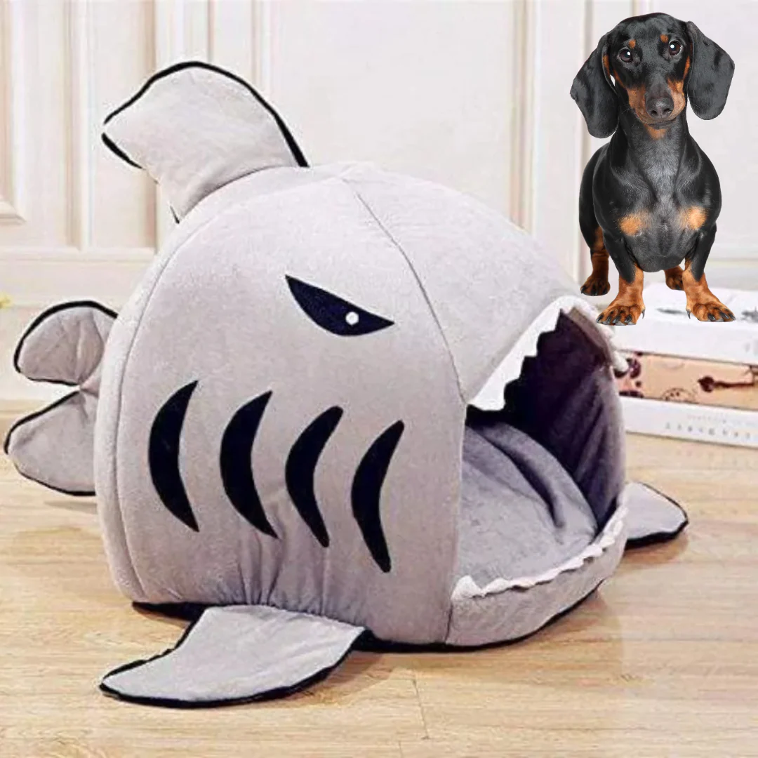 Doxie Shark Bed – Unique Shark Design for Ultimate Dachshund Comfort - Image 3