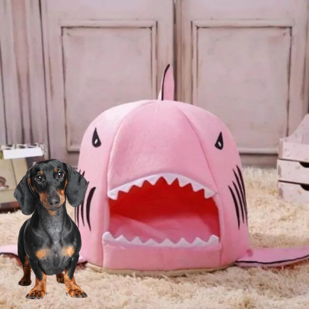 Doxie Shark Bed – Unique Shark Design for Ultimate Dachshund Comfort - Image 5