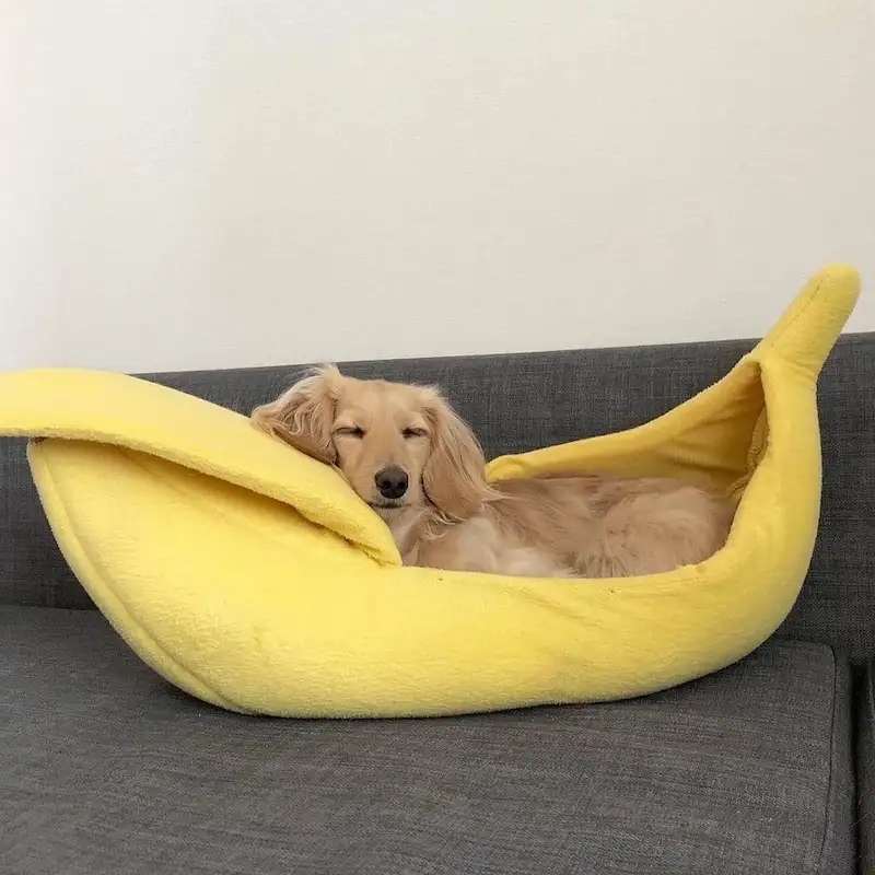 DoxieNest Dachshund Banana Bed - Image 13