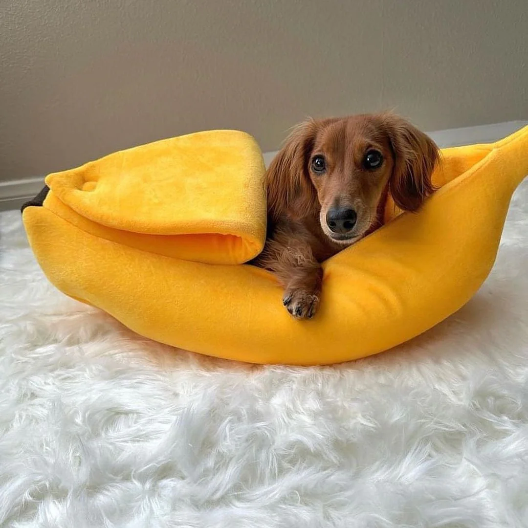 DoxieNest Dachshund Banana Bed - Image 4