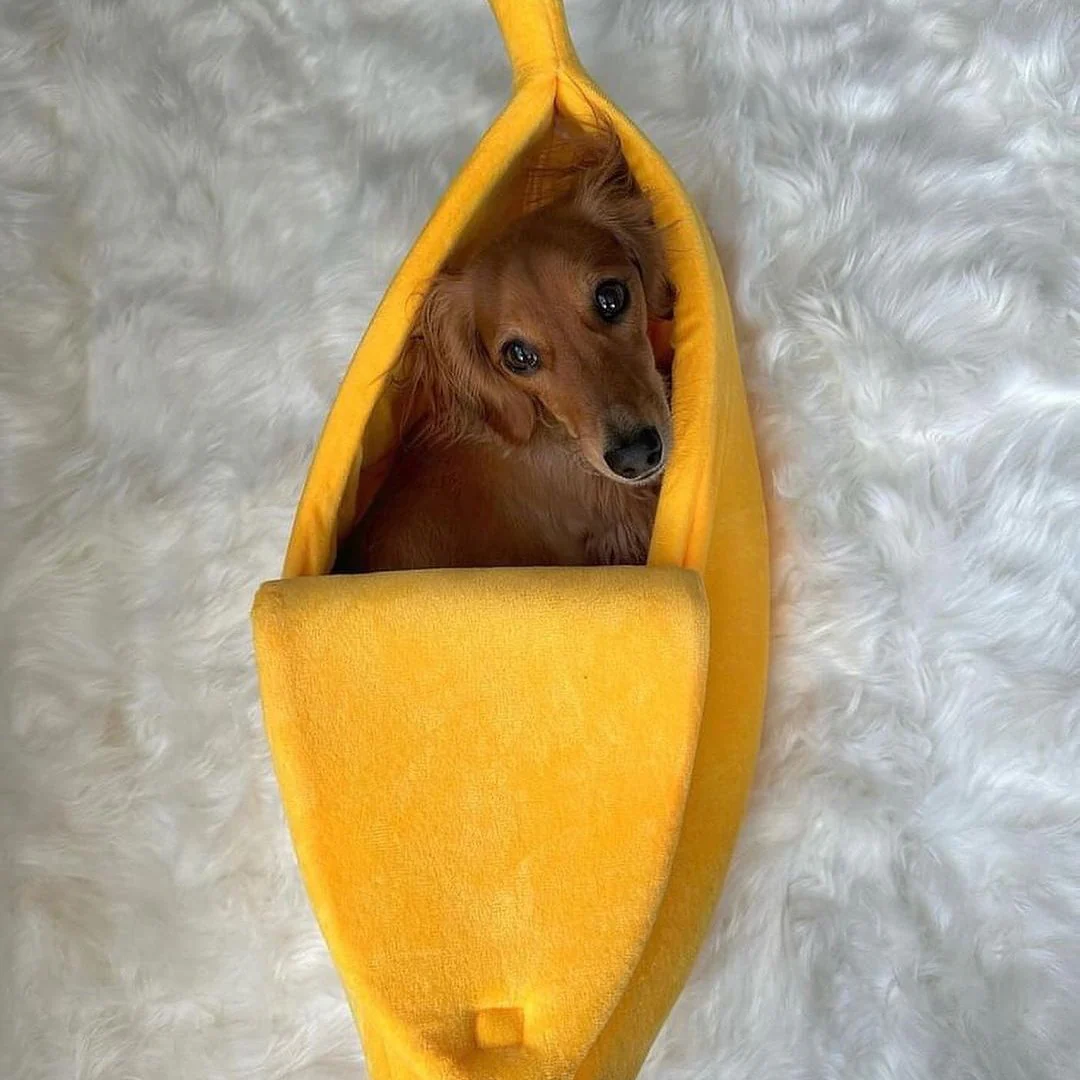 DoxieNest Dachshund Banana Bed - Image 5