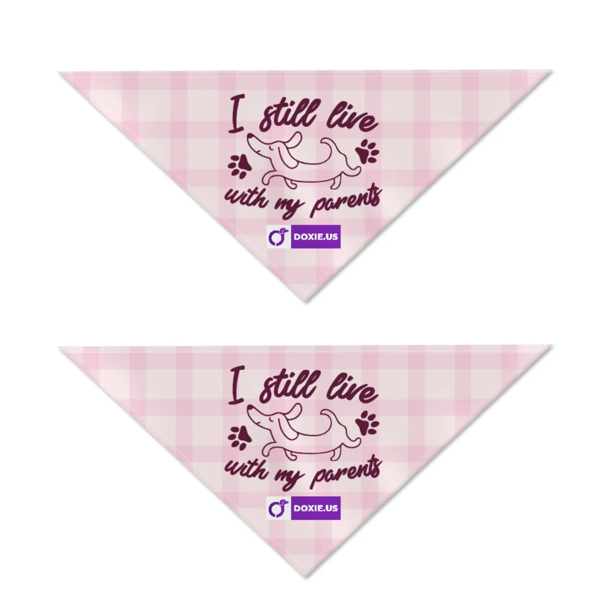 I STILL LIVE WITH MY PARENTS - Bandanas for Dachshunds - Image 3