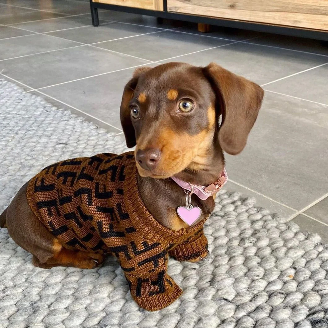 Luxury Dachshund Sweater - Image 3