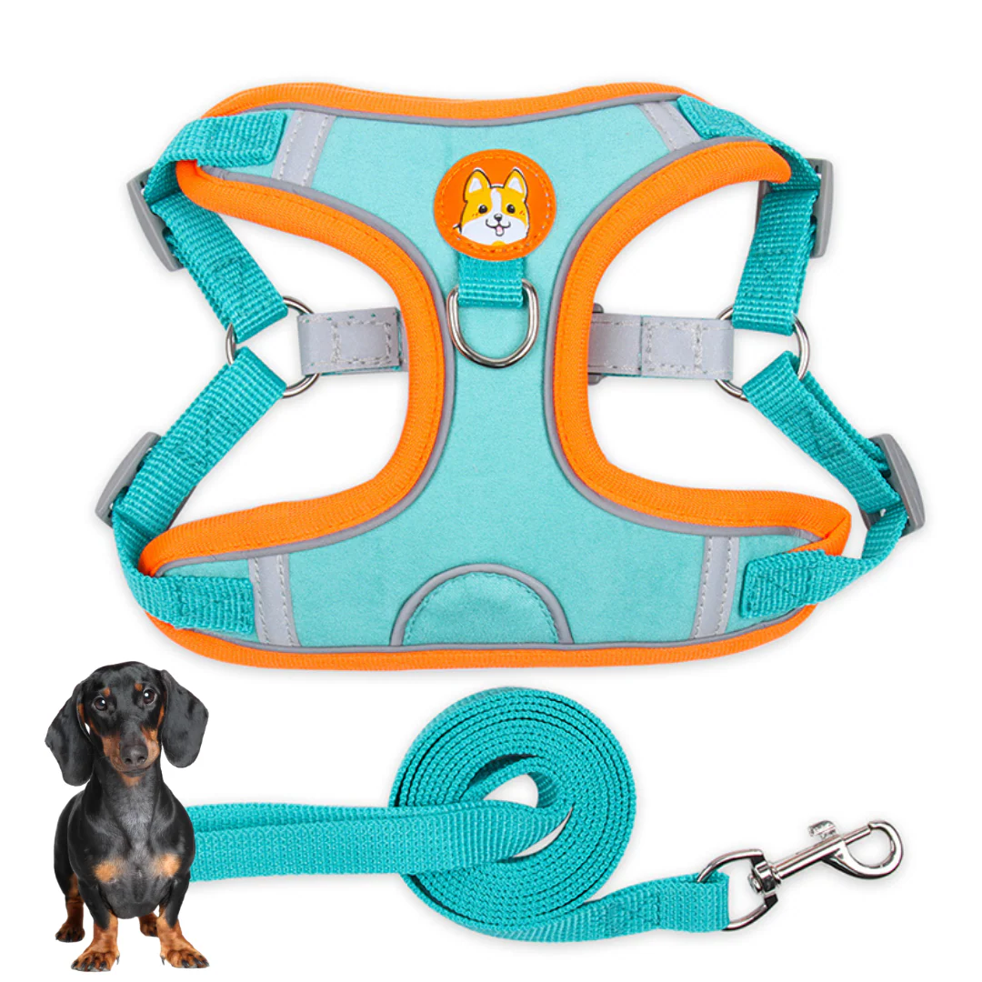 PawStride Doxie Reflective Harness & Leash - Image 3