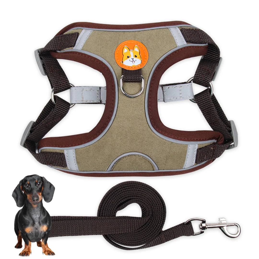 PawStride Doxie Reflective Harness & Leash - Image 4