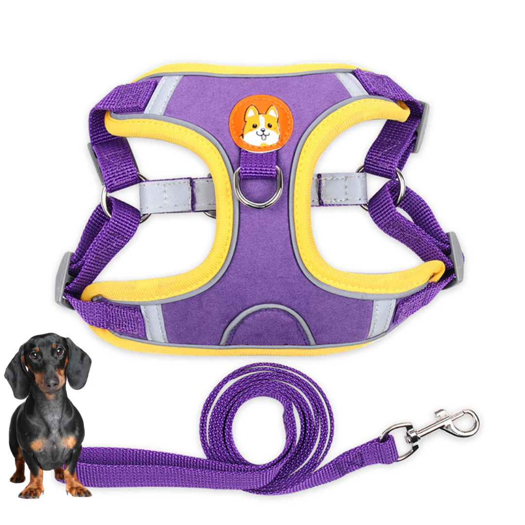 PawStride Doxie Reflective Harness & Leash - Image 6