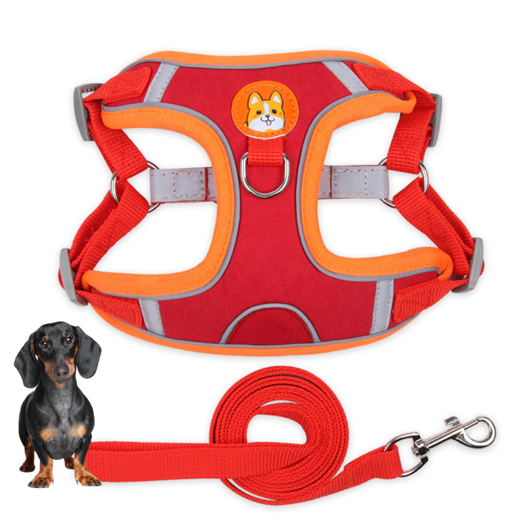 PawStride Doxie Reflective Harness & Leash - Image 8