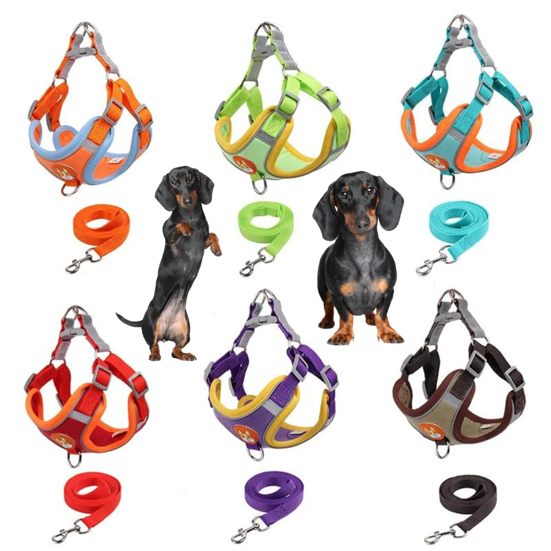 PawStride Doxie Reflective Harness & Leash - Image 9
