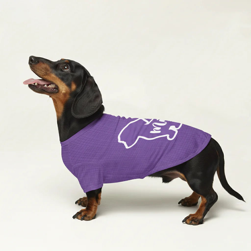 Hugo - Personalized Wool Sweater for Doxie - Image 4