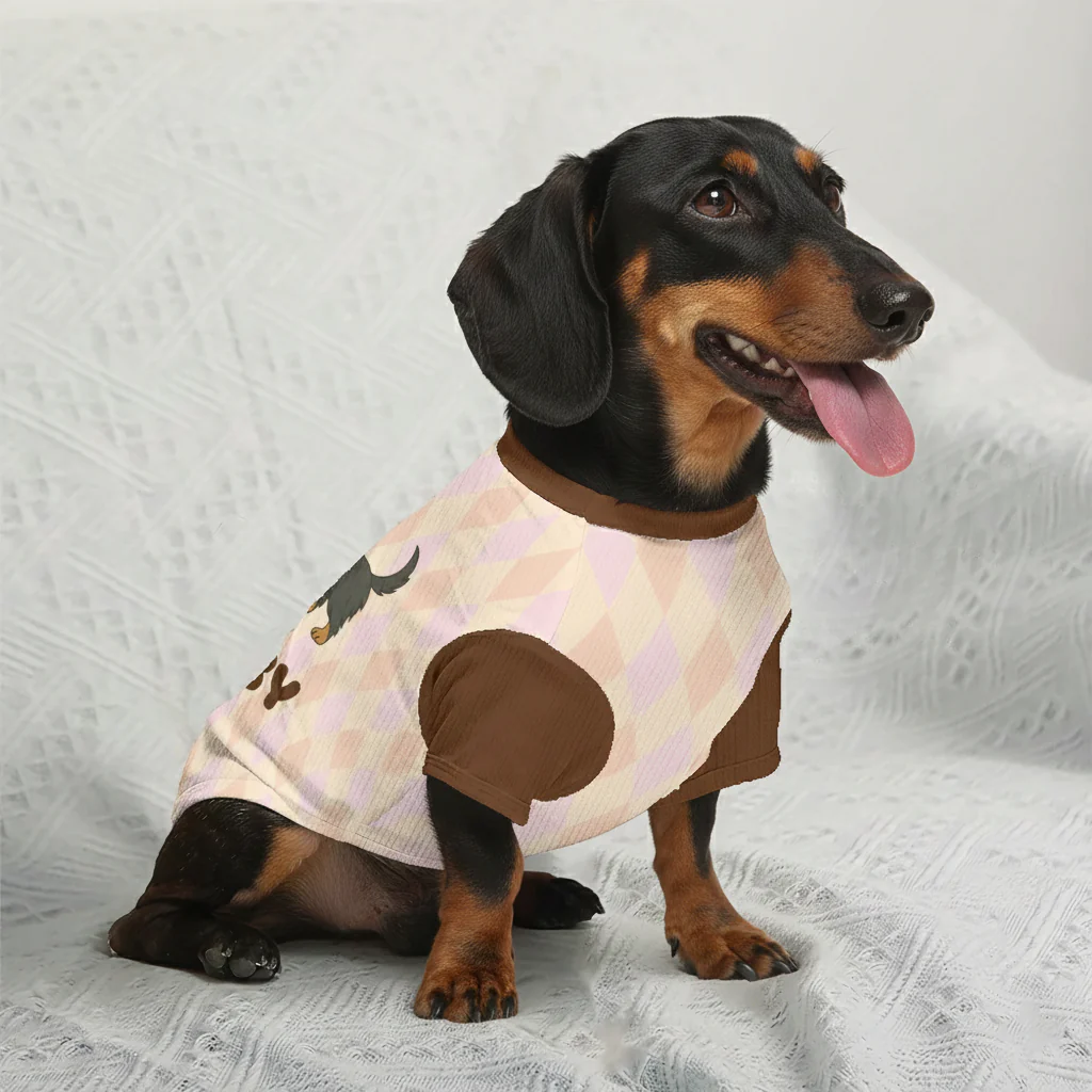 Footie - Personalized Wool Sweater for Doxie - Image 4