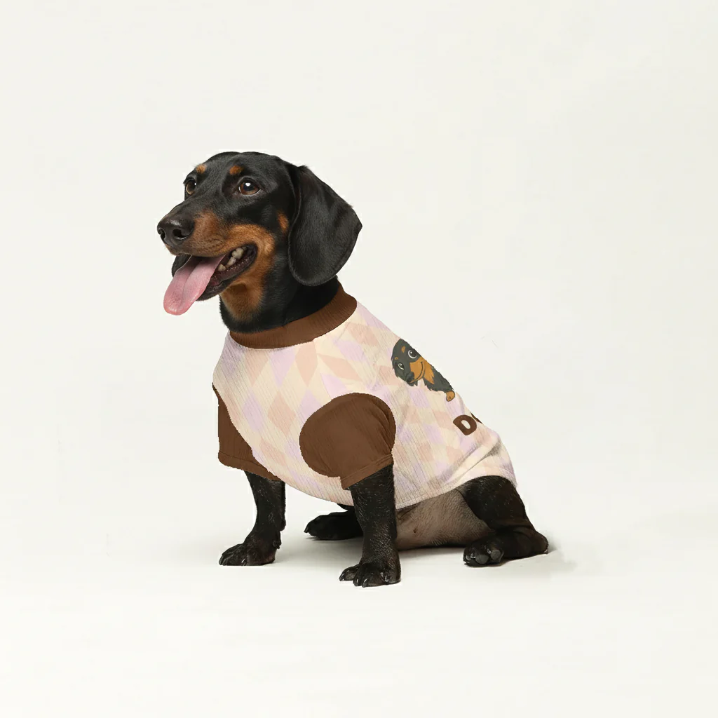 Footie - Personalized Wool Sweater for Doxie - Image 5