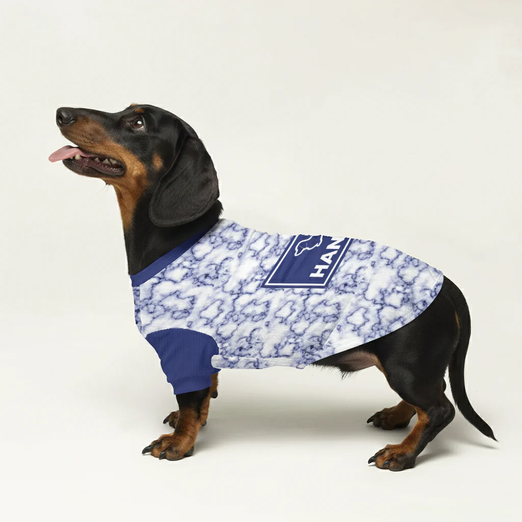 Lanky - Personalized Wool Sweater for Doxie - Image 3
