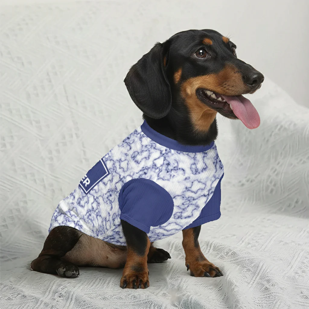 Lanky - Personalized Wool Sweater for Doxie - Image 4