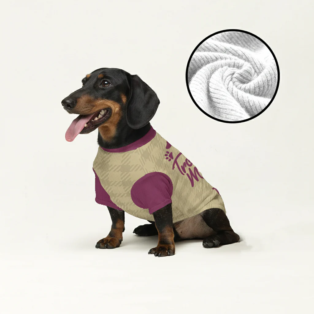 Vienna - Personalized Wool Sweater for Doxie - Image 3