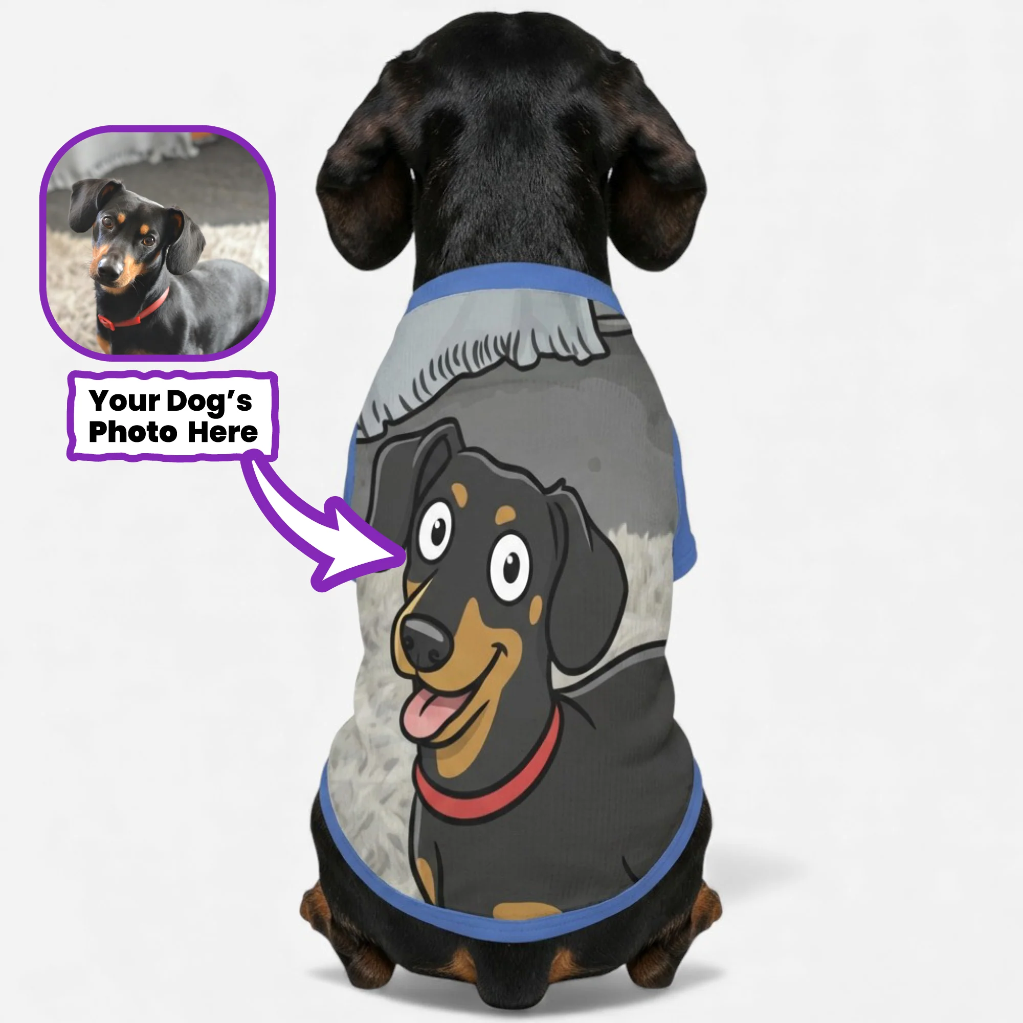 Wool Sweaters for Dachshunds