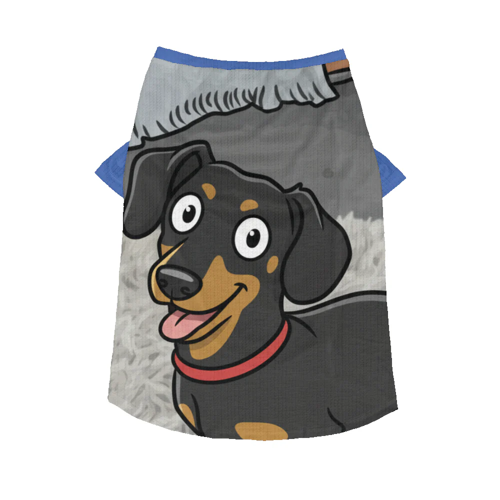 Ducky - Personalized Wool Sweater for Doxie - Image 5