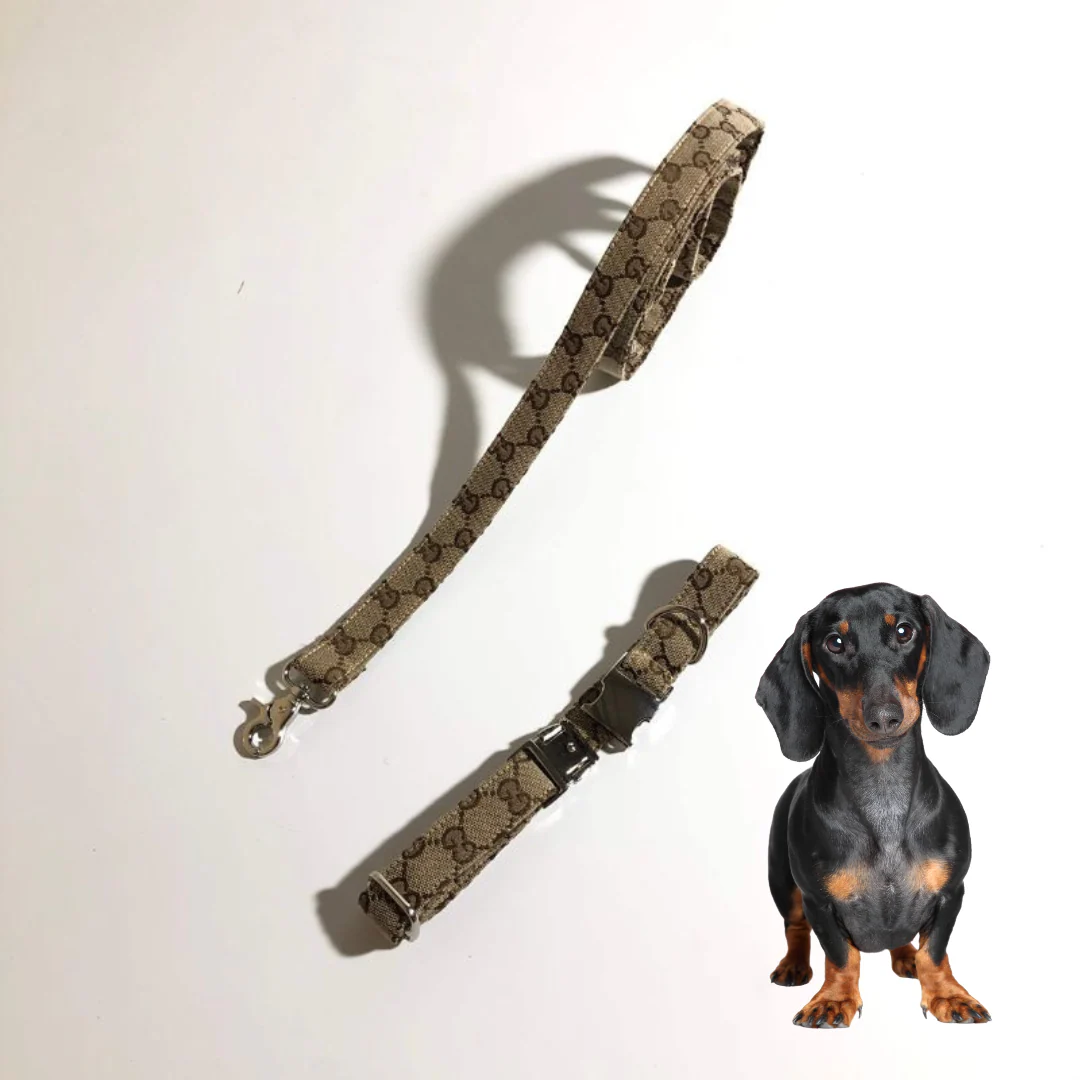 Premium Dachshund Collar and Leash Set - Image 3