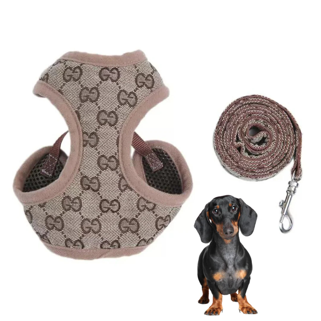 Premium Dachshund Harness and Leash Set - Image 4