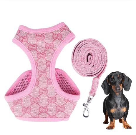 Premium Dachshund Harness and Leash Set - Image 5