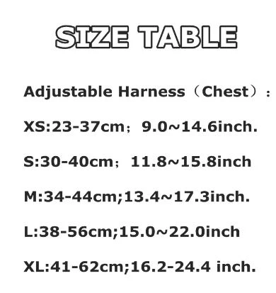 Premium Dachshund Harness and Leash Set - Image 6