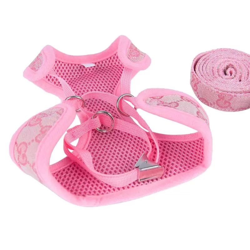 Premium Dachshund Harness and Leash Set - Image 9