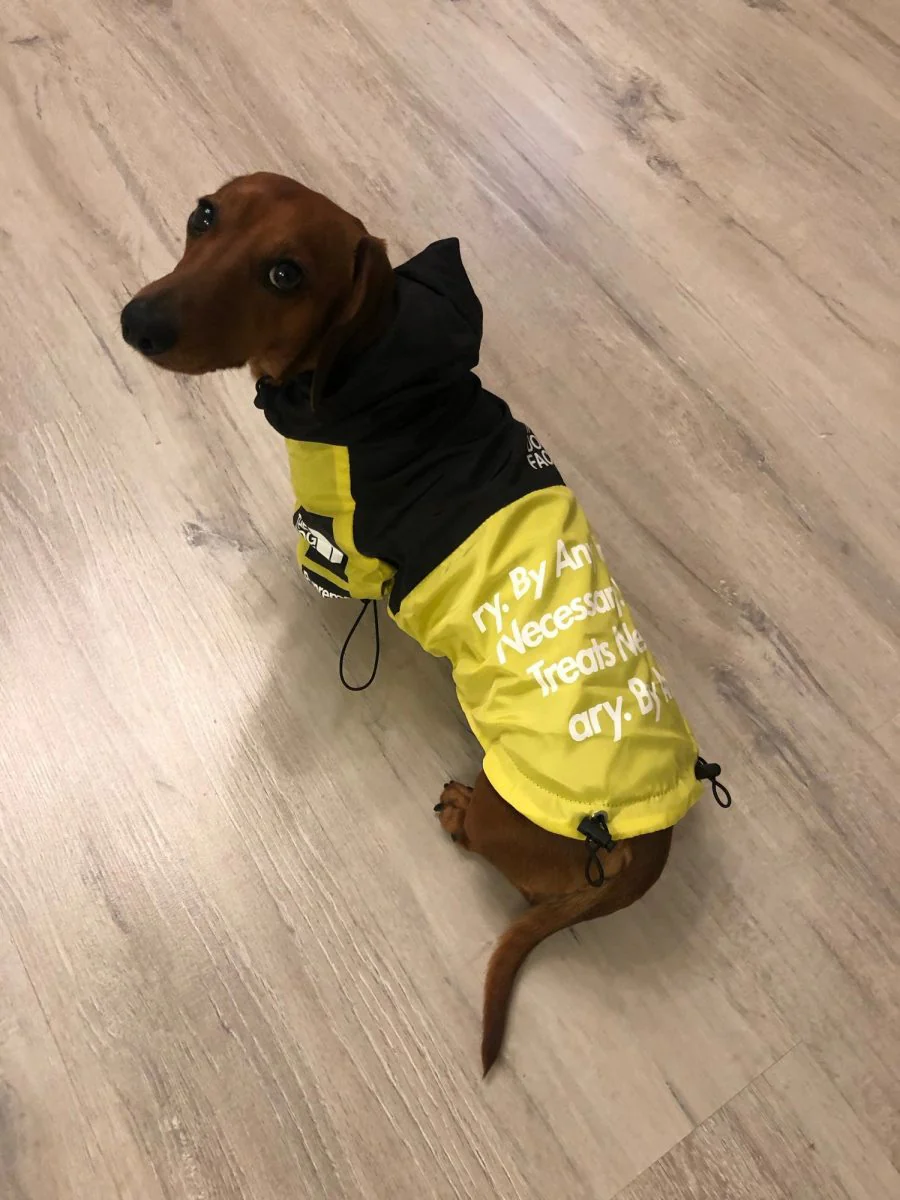 PupBreeze The Dog Face Dachshund Rain Jacket - Image 7
