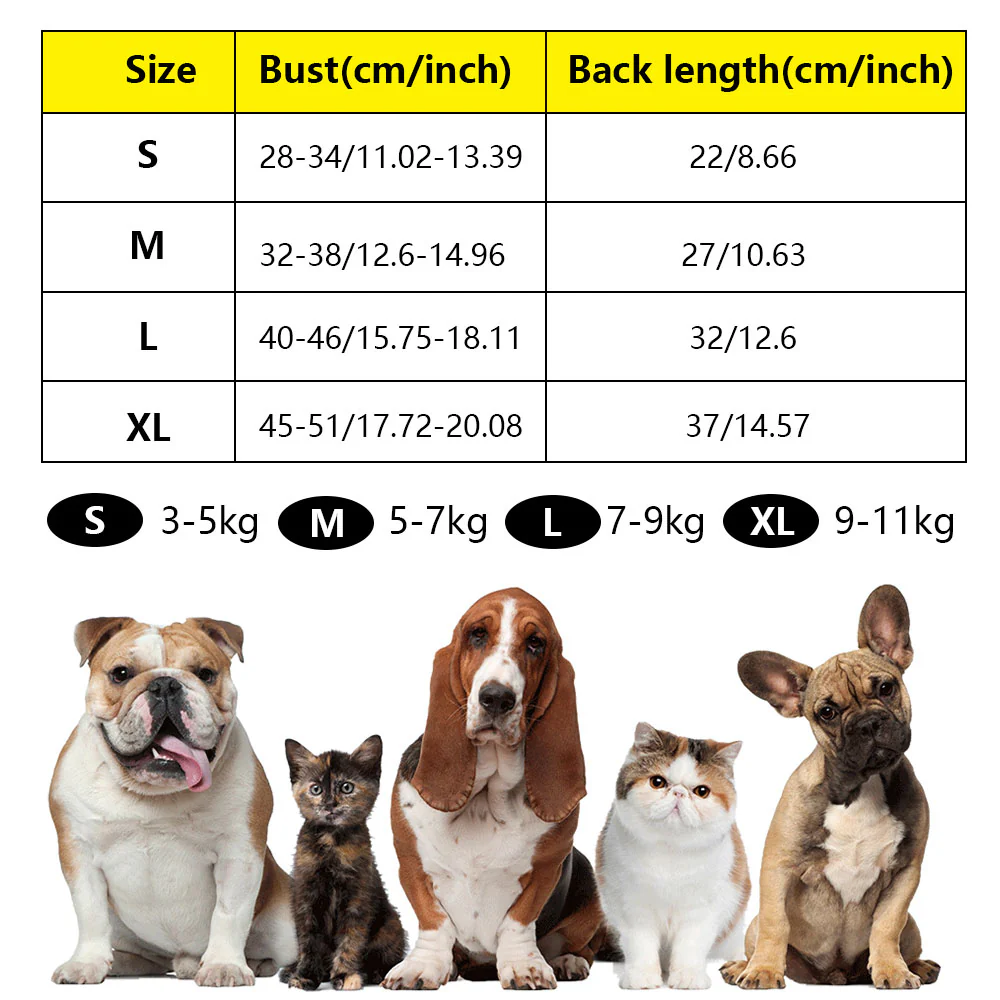 RainCoat for Dachshunds - Image 7