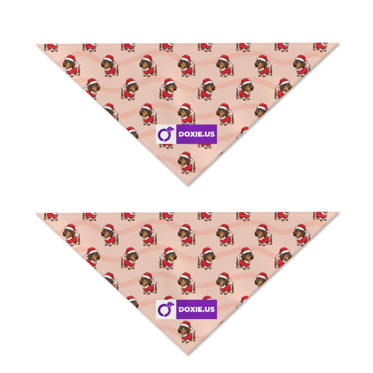 Roxy - Bandanas for Dachshunds - Image 3