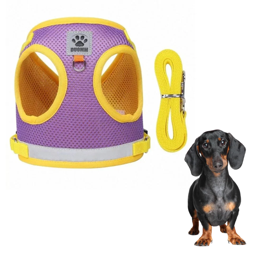 ShinePup Dachshund Reflective Harness with Leash - Image 10