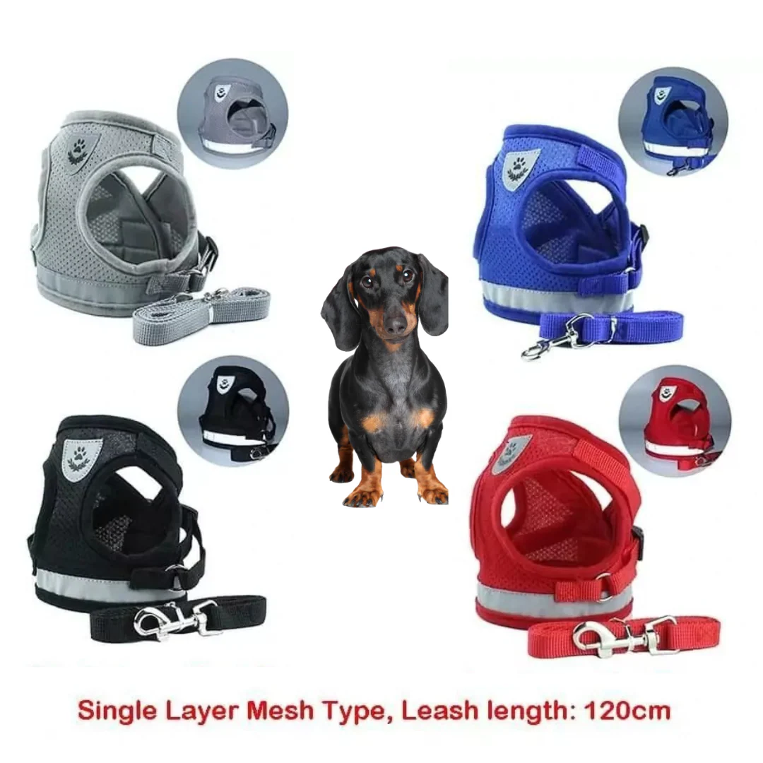 ShinePup Dachshund Reflective Harness with Leash - Image 11