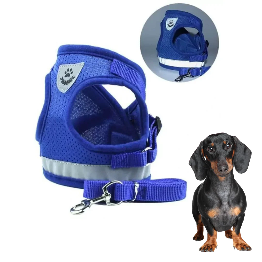 ShinePup Dachshund Reflective Harness with Leash - Image 5
